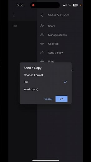 How to save a Google Doc as a PDF on an iPhone (2023)