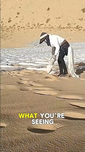 How Humans Are Turning Deserts Green Again
