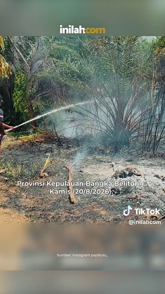 Aksi pembakaran lahan oleh orang tidak dikenal (OTK) diduga terekam kamera CCTV di Jalan Flamboyan 3, Desa Padang, Kecamatan Manggar, Kabupaten Belitung Timur, Kepulauan Bangka Belitung, pada Kamis (20/8/2026). Satpol PP Kabupaten Belitung Timur melalui Regu 1 Damkar segera turun ke lokasi untuk melakukan pemadaman dan pendinginan terhadap sisa bara api. - Selengkapnya kunjungi website dengan klik link di bio atau download aplikasi di AppStore dan Google Play Store. #inilahNews #Kerhutla #Bangka
