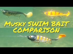 The BEST MUSKY SWIM BAITS! Underwater footage throwdown!