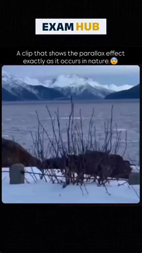 ETERNAL HUB on Instagram: "👁️📐 The Parallax Effect — why the world shifts when you move. Ever noticed how nearby objects seem to move faster than distant ones when you walk, drive, or move your camera? That illusion is called the parallax effect — and it’s pure geometry, not trickery. When you change your position, close objects shift more in your field of view than faraway objects. Your brain uses this difference to judge depth and distance, helping you understand the 3D world from a 2D image