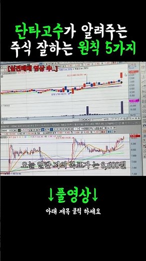 주식 잘하는 사람은 반드시 이 원칙을 지킵니다.