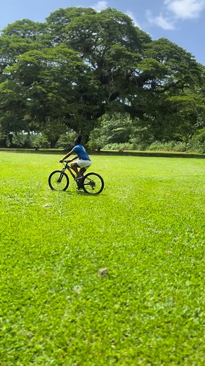 Peaceful Escape 🚲🍃 Bike rentals from $80 Electric Bike cruisers from $120 Bike Tours and lessons available Contact 470-2747 #bikehubtt #trinidad #adventure #explore #bikerentaltt #trinidadandtobago #ridemore #visittrinidad #goodvibesonly | BikeHub - Bike Rentals