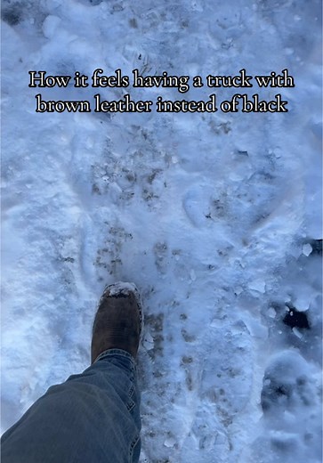 Love these models #fyp #foryou #ram #1500 #limitedlonghorn