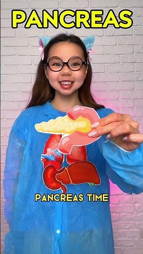 👧 Where’s the Heart? Let’s See What’s Inside the Body! 🫁🧠