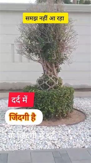 raste ka pathar 💔😅 #viral #reels #trending #blog 💔💔💔🙏💯💔