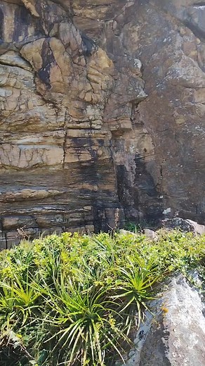 5.6K reactions · 1K shares | Elsa Ireno Desouza on Reels | Facebook