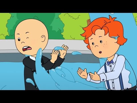 Caillou and Leo Fight in the Water | Caillou Cartoon