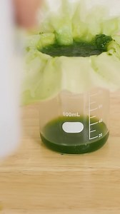 Removing chlorophyll from leaves 🌱​ #science #chemistry #physics #interestingthings #reels | The Action Lab