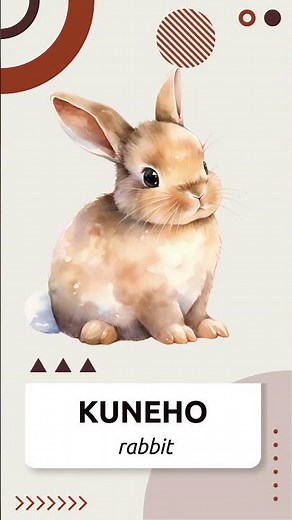 Kuneho - Rabbit | Filipino/Tagalog Vocabulary Words | LEARN FILIPINO