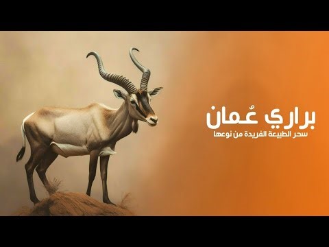 براري سلطنة عمان عالم من الحيوانات وسحر الطبيعة الفريدة من نوعها | كويست عربية Quest Arabiya