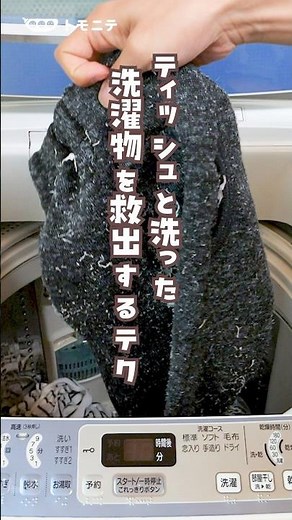 【ティッシュと洗った】洗濯物を救出するテク #育児 #育児アカウント #ティッシュ #洗濯 #テクニック #ライフハック