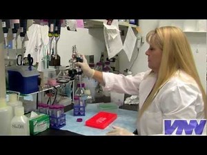 How Do You Become a Veterinarian?