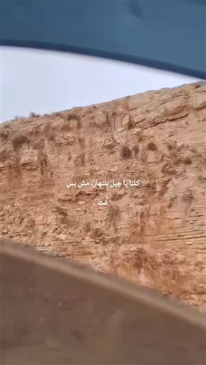 ‏#الكرك #مؤته #شتا ✨🤍