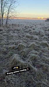 #freezy #day #running #runday #run #munich #münchen #winter