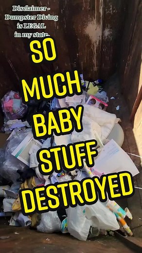 Dumpster Diving Haul: Finding Hidden Gems Amongst Waste