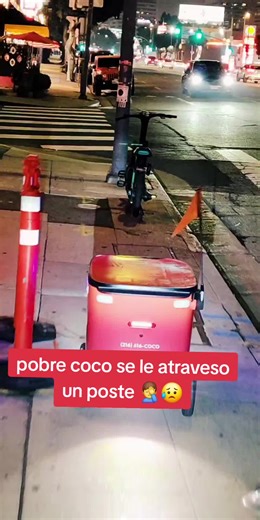 Funny TikTok Live Highlights: Coco's Crash