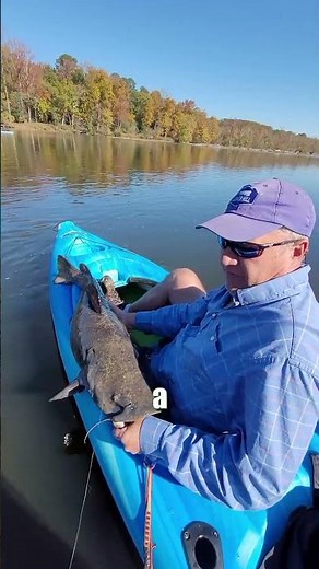 Our SECRET River Fishing Rig For MONSTER TROPHY Flathead Catfish: FATKAT Best Catfishing Rigs