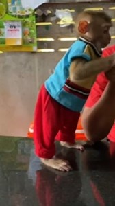 Adorable Baby Monkey Daily | Monkey Pets