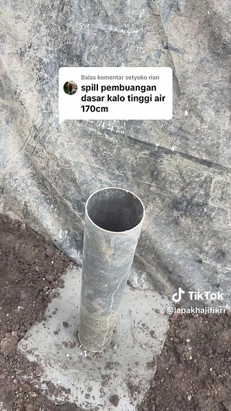 Kolam Ikan: Tips Budidaya Patin, Lele, dan Gurame