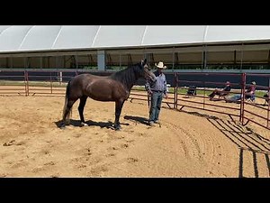 A Whole New Way to Work in the Round Pen