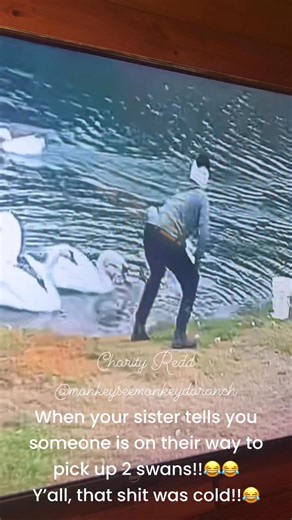 Charity Redd on Instagram: "#swans #lovemysister #lifeisgood #fypviralシ #foryoupageシforyou #fypviral #fypchallenge"