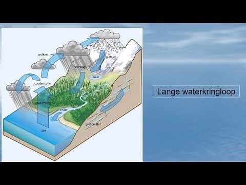 Klimaten Neerslag
