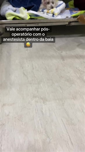 #anesthesia #anesthesiatiktok #anestesia #medicinaveterinaria #anestesiaveterinaria #vet #estudante #sinestesia #cachorrosdotiktok #desafios