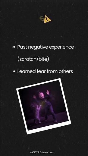 Ailurophobia 😨 Fear of Cats 🐱 | Exam Ready GK | Important Phobias for Exams 🎯 (Part 7)