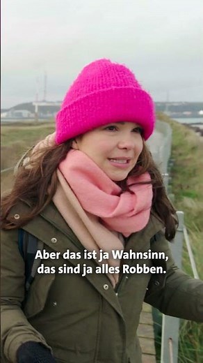 Ein Strand voller Robben! | Anna und die wilden Tiere #robben #shorts
