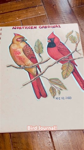 First 2 pages of those new GORGE sketchbook