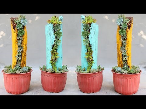 How to Make Wood Log Planter for Succulents | DIY Garden