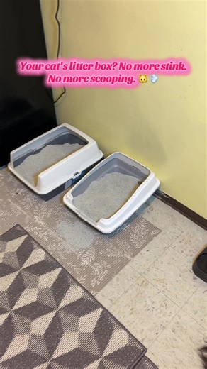 The PetPivot AutoScooper 11 cleans itself, seals odor, and works with any litter. Bonus: it’s open-top, so no awkward cat acrobatics. ✨ Tap the cart for your cleanest cat era. #tiktokshopholidayhaul #cattok #petparentlife #litterboxupgrade #tiktokmademebuyit