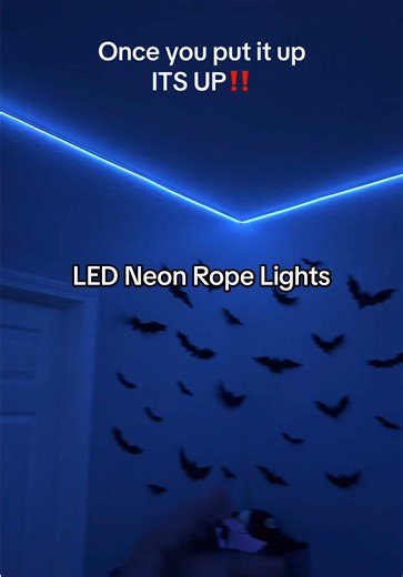 Choosing the Best LED Neon Rope Lights for Your Space