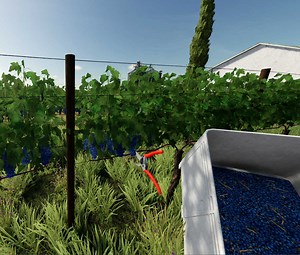 FS22 Vendanges manuelles : prenez soin de vos raisins