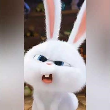 صور ارنب كيوت
