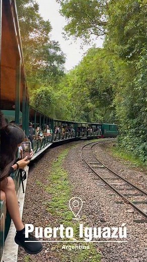 Uncovering the wildlife and beauty of the Iguassu Falls in Puerto Iguazú, Argentina 🇦🇷