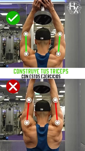 💡 Tips para entrenar tríceps en el gym1. 🔄 Trabaja todas las cabezas del tríceps�Usa variedad de ejercicios como fondos, extensiones con cuerda y press francés para activar las tres cabezas del músculo.�2. 💪 Controla el movimiento�No uses impulso; sube y baja con control para maximizar la tensión muscular.�3. 🎯 Codo fijo siempre�Mantén los codos en su lugar durante todo el ejercicio, evita moverlos hacia adelante o hacia los costados.�4. 🧠 Conexión mente-músculo�Concéntrate en sentir el tra