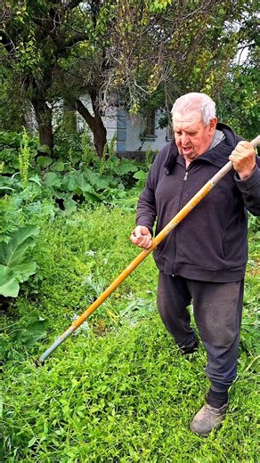 Cutting a Meadow by Hand #gardening #shorts #garden #scythe #meadowmowing #grasscutting #shortvideo