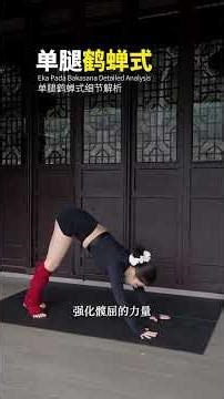 一腿鹤式详解：完整步骤指南