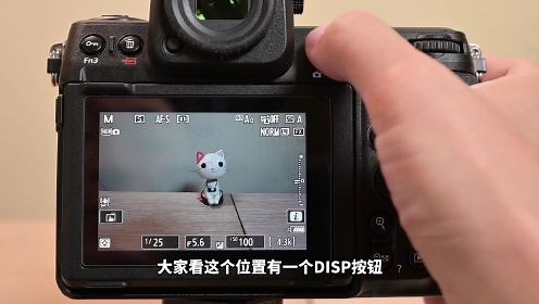 尼康Z8入门使用指南_第04集尼康Z8DISP显示按钮
