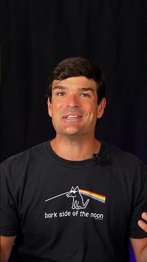 Why is My Dog Digging Her Bed? The truth is...