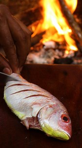 Crispy Fried Pink Perch Fish #fbreels #fbreelsfypシ゚viralシ #outdoorcooking #asmr | Ginger Cook ASMR