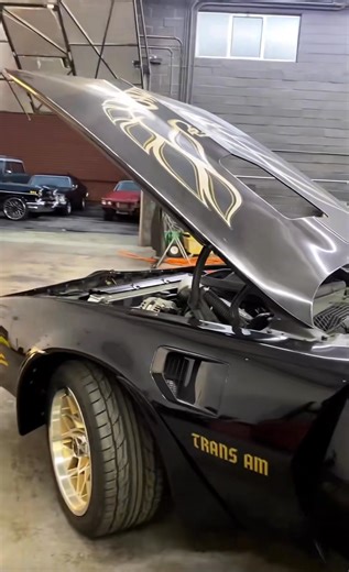 LT1 E-Rod ready to go! #lt1camaro #lt1 #lt1swap #lt1swapped #transam #pontiactransam #smokeyandbandit | Lt1 Engine Rebuilt