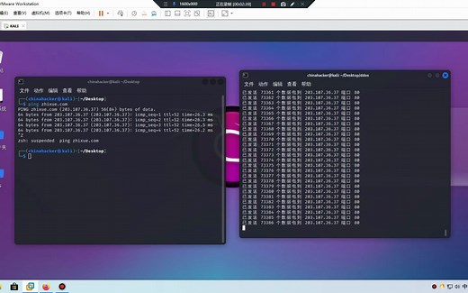Kali Linux 使用DDOS攻击教学