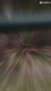 POV of putting up a camera!!! Browning Trail Cameras #whatgetsyououtdoors #trailcamera #nature #trailcampro | Trailcampro.com