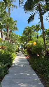 Palm trees and peace 🕶️🌴 #keywest #keywestflorida #floridakeys #keywestvacation #visitkeywest #islandlife #palmtrees #peace #thefloridakeys #thingstodoinkeywest #experiencekeywest | Experience Key West