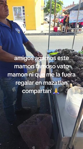 Video de user00701387127 (@bouncer8921) relacionado con “mazatlan”