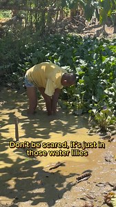 Hito, paltat, catfish, mudfish. What do you call 📱 t in your language? #catfish #mudfish #fishing #Philippines | Anthony Homer Cycling 尤薩