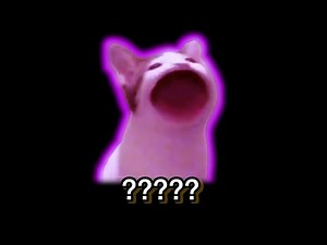 11 Pop Cat Sound Variations in 30 Seconds (FAST VERSION)